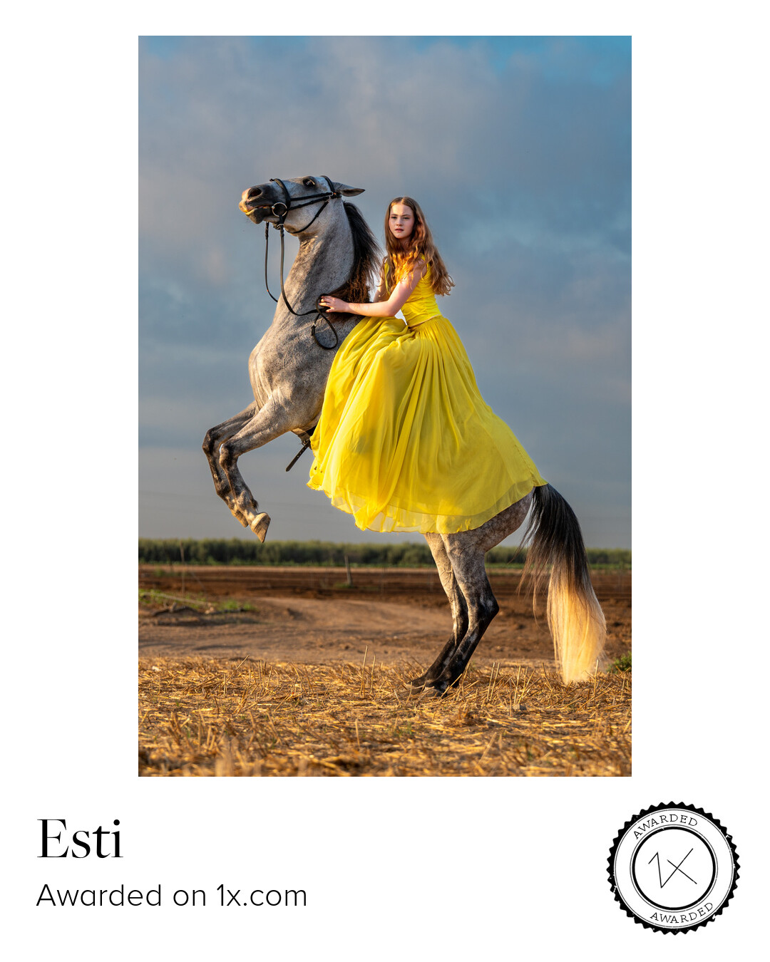 צילום זוכה בנושא תנועה