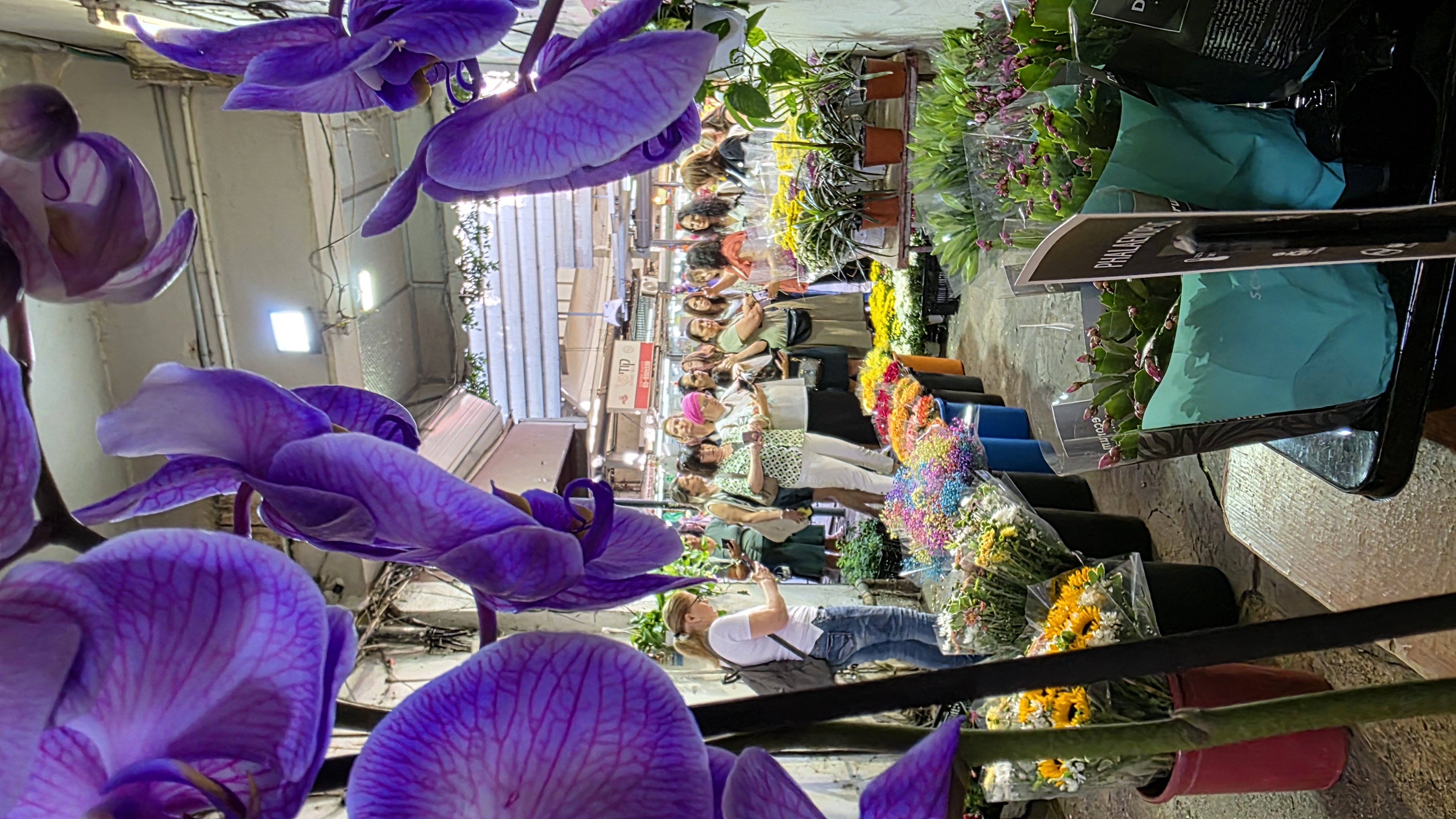 קבוצת משתתפים בסדנת צילום בנייד