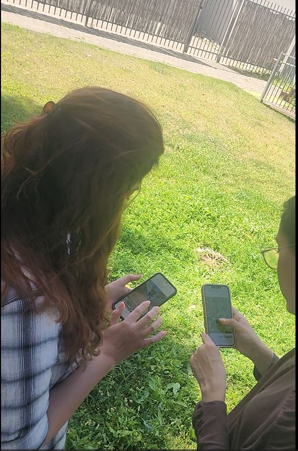 עובדים משתתפים בסדנת צילום לארגון