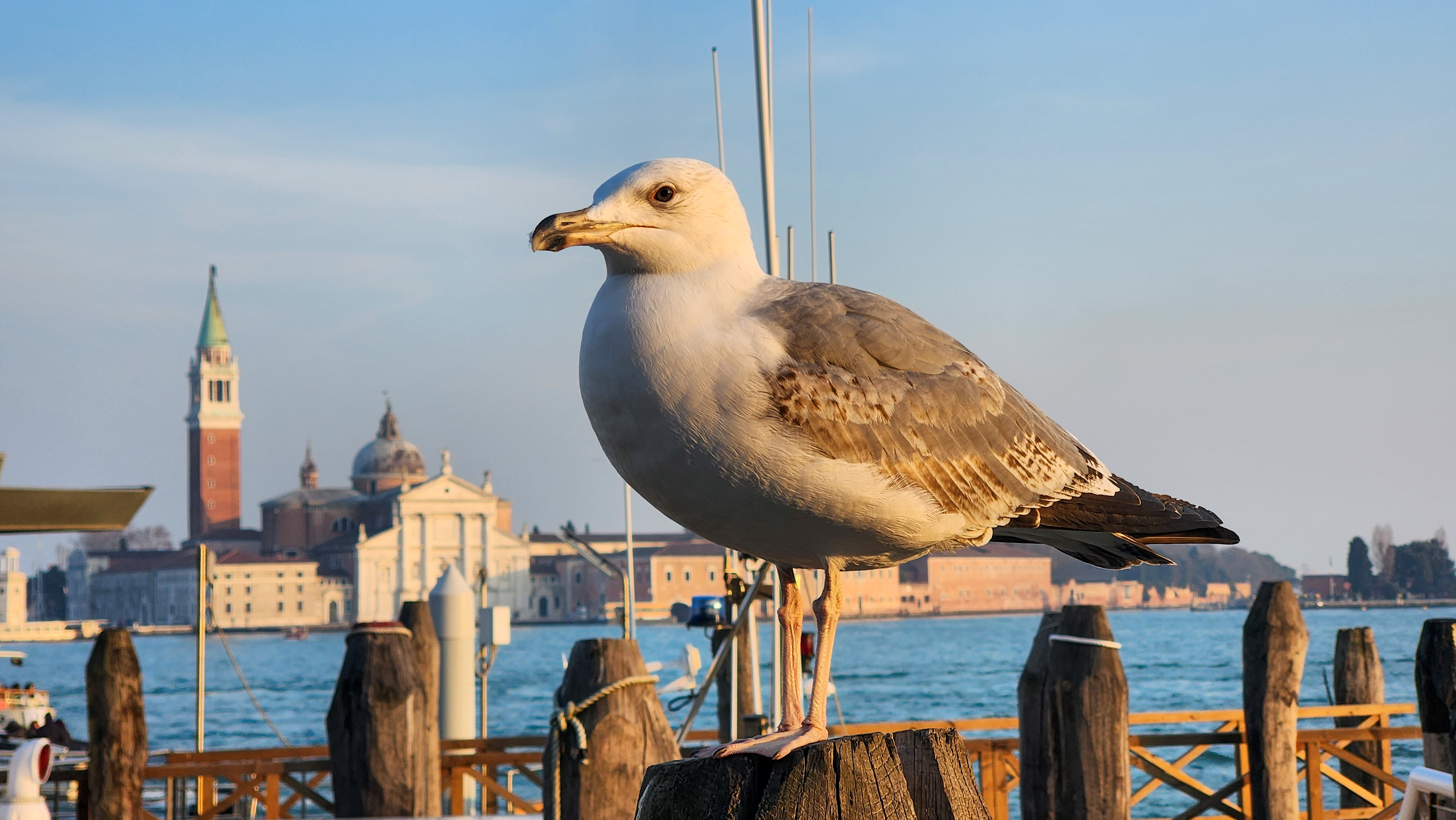 סמטאות ונציה בקרנבל