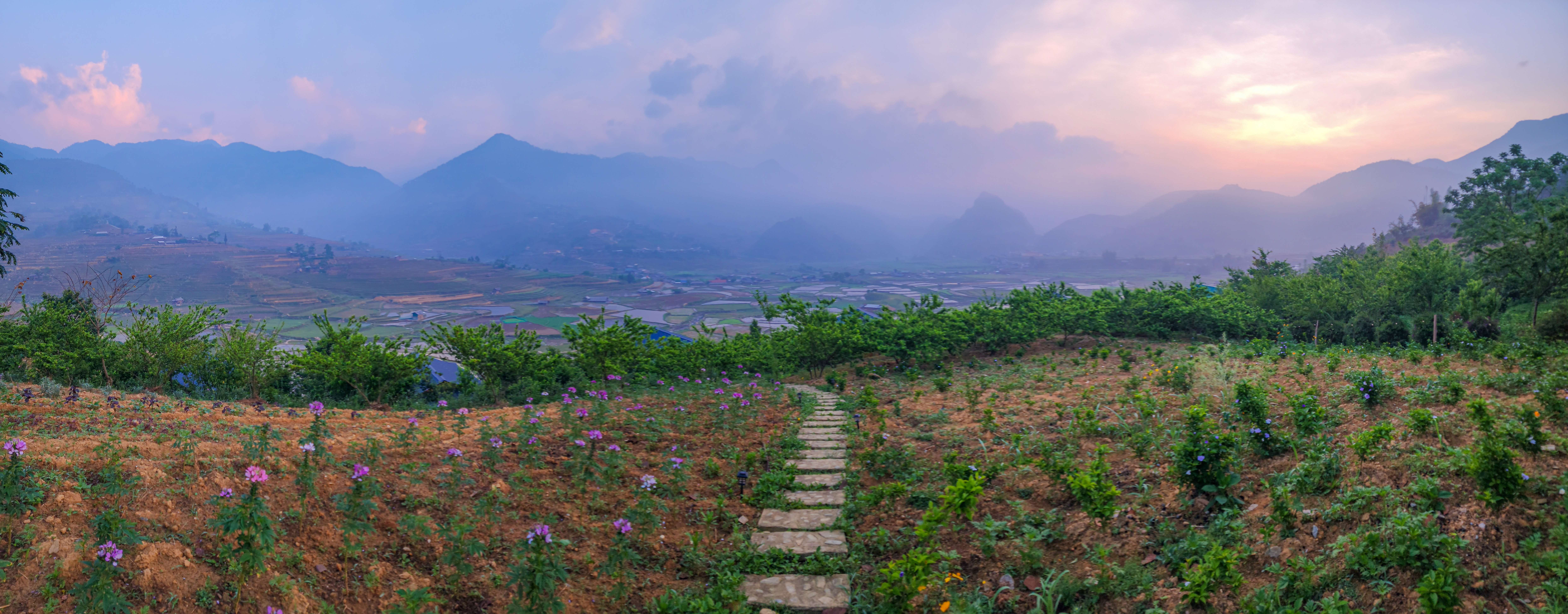 שדות אורז וייטנאם
